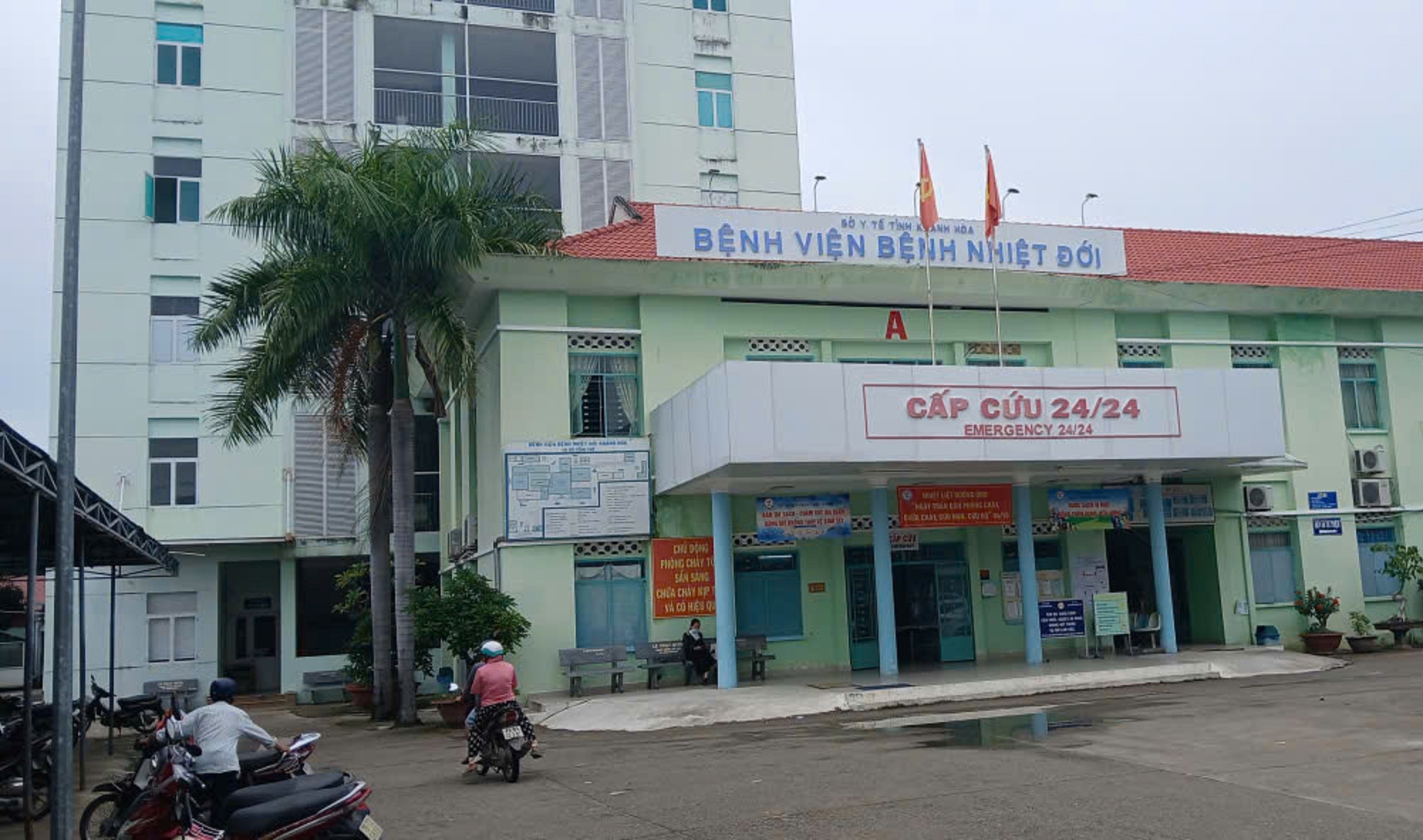 giun-1-17839925242601713914913 Ghi nhận nhiều người bị giun lươn ở Khánh Hòa, bác sĩ cảnh báo mức độ nguy hiểm nếu không điều trị sớm - Ảnh 1.
