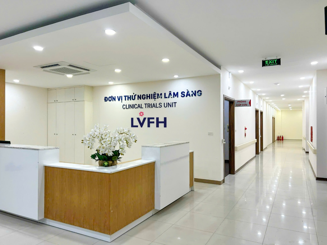 photo-1783936456255-17839364568291819688357 Đạo đức y sinh và trách nhiệm trong thử nghiệm lâm sàng tại Việt Nam chặt chẽ như thế nào?- Ảnh 1.