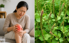 ThS. Lương y Phạm Đức Tuấn: Hành Trình Để Đạt Danh Hiệu Thầy Thuốc Đông Y Tiêu Biểu Toàn Quốc
