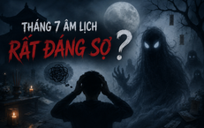 Câu Chuyện Đằng Sau Những Vi Phạm Giao Thông Nghiêm Trọng Của Chủ Xe Ô Tô
