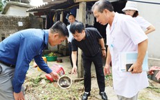 Nâng Cao Sức Khỏe Từ Sớm: Tại Sao Giảm Muối Là Cần Thiết?