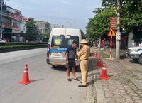 Khám Phá Những Vấn Đề Xung Quanh Tục Phóng Sinh và Hệ Lụy Dành Cho Môi Trường