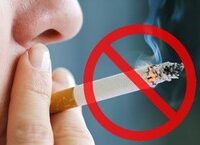 Sự Thích Ứng Của Ngành Nội Tiết Trước Cuộc Cách Mạng Trí Tuệ Nhân Tạo