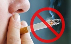 Sự Thích Ứng Của Ngành Nội Tiết Trước Cuộc Cách Mạng Trí Tuệ Nhân Tạo