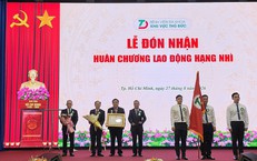 Quản Lý Thuốc Lá Điện Tử: Quy Định Mới và Hình Phạt Đối Với Người Sử Dụng