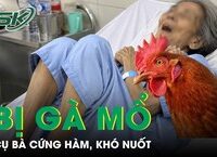 Câu Chuyện Đáng Cảnh Tỉnh Về Nguy Cơ Ngộ Độc Thực Phẩm