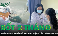 Cảnh Báo: Hệ Lụy Nghiêm Trọng Khi Lạm Dụng Paracetamol Trong Cảm Cúm