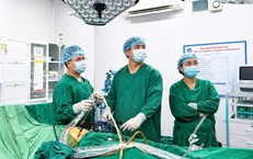 Tăng Cường Biện Pháp Chống Sốt Xuất Huyết Tại Hà Tĩnh Sau Khi Ghi Nhận 11 Ca Bệnh