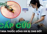Hành Trình Cứu Nạn Thuyền Viên Giữa Biển Cả: Khó Khăn Và Hy Vọng