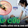 Hành Trình Cứu Nạn Thuyền Viên Giữa Biển Cả: Khó Khăn Và Hy Vọng
