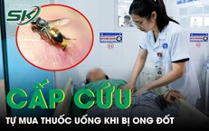 Hành Trình Cứu Nạn Thuyền Viên Giữa Biển Cả: Khó Khăn Và Hy Vọng
