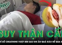 Tai Nạn Đáng Tiếc: Một Phụ Nữ Mất Mạng Do Ong Vò Vẽ Tấn Công