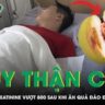 Tai Nạn Đáng Tiếc: Một Phụ Nữ Mất Mạng Do Ong Vò Vẽ Tấn Công