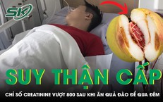 Tai Nạn Đáng Tiếc: Một Phụ Nữ Mất Mạng Do Ong Vò Vẽ Tấn Công