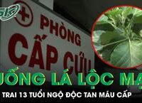 Chương Trình Truyền Hình Về Tầm Soát Bệnh Tim Mạch: Biện Pháp Phòng Ngừa Hiệu Quả