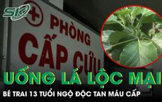 Chương Trình Truyền Hình Về Tầm Soát Bệnh Tim Mạch: Biện Pháp Phòng Ngừa Hiệu Quả