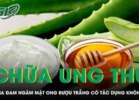 Hai Anh Em Cùng Nhau Giải Cứu Bà Bà Trong Tình Huống Tưởng Như Không Thể