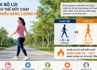 Khám Phá Tác Dụng Chữa Bệnh Đặc Biệt Của Rễ Cỏ Xước
