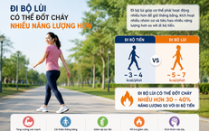 Khám Phá Tác Dụng Chữa Bệnh Đặc Biệt Của Rễ Cỏ Xước