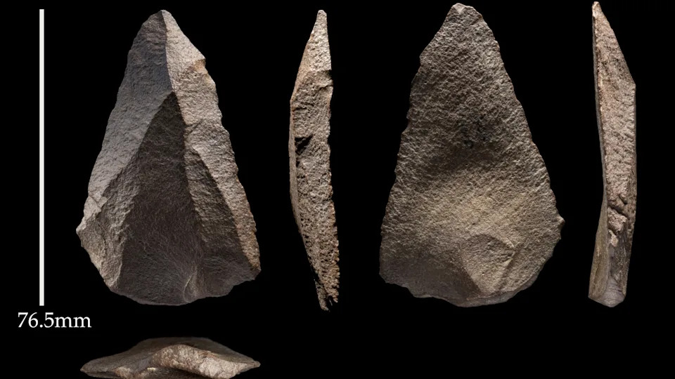 Khám Phá Di Chuyển Của Người Neanderthal Qua Công Cụ Đá Cổ Đại