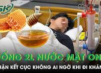 Tìm Hiểu Nguyên Nhân Huyết Tương Trắng Đục Và Ảnh Hưởng Của Mỡ Máu Tăng Cao