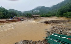 Tiêu Chuẩn Chuyên Môn Dành Cho Sĩ Quan Y Tế Quân Đội: Những Điều Cần Biết