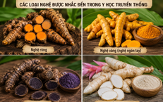 Khám Phá Lợi Ích Đáng Kinh Ngạc Khi Đi Bộ 2 Km Mỗi Ngày