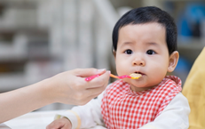 Những Lưu Ý Quan Trọng Khi Tiêu Thụ Mướp Đắng Bạn Nên Biết