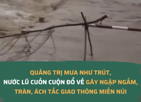 Khổ Vì Cơn Đau Zona: Những Điều Cần Biết và Giải Pháp