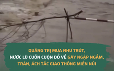 Khổ Vì Cơn Đau Zona: Những Điều Cần Biết và Giải Pháp