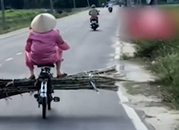Câu Chuyện Đau Lòng: Bé Gái 9 Tuổi Qua Đời Vì Bệnh Dại Sau Một Vết Cắn
