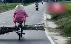 Câu Chuyện Đau Lòng: Bé Gái 9 Tuổi Qua Đời Vì Bệnh Dại Sau Một Vết Cắn