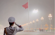 Tai Nạn Giao Thông Nguy Hiểm: Khi Ô Tô Đánh Lái Lách Tránh Người Đi Bộ