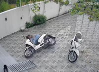 Hành Vi Bạo Lực và Tác Động Xã Hội: Một Vụ Đánh Nhau Đáng Lo Ngại