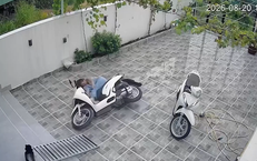 Hành Vi Bạo Lực và Tác Động Xã Hội: Một Vụ Đánh Nhau Đáng Lo Ngại