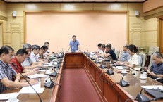 Tình Hình Dịch Sốt Xuất Huyết Tại Hà Tĩnh: Cảnh Báo Mới Từ CDC