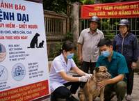Tăng Cường Hiệu Quả Cấp Cứu Ngoại Viện: Giải Pháp và Thực Trạng Hiện Nay