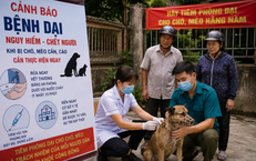 Tăng Cường Hiệu Quả Cấp Cứu Ngoại Viện: Giải Pháp và Thực Trạng Hiện Nay