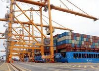 Sự Thật Bất Ngờ Về Chế Độ Ăn Nhiều Đạm: Đừng Để Sức Khỏe Bị Đe Dọa