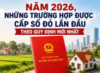 Cuộc Chiến Sinh Tồn Của Người Cha: 4 Ngày Trôi Dạt Trên Biển Vì Hai Đứa Con