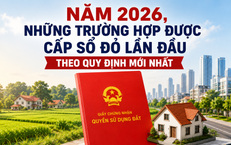 Cuộc Chiến Sinh Tồn Của Người Cha: 4 Ngày Trôi Dạt Trên Biển Vì Hai Đứa Con