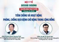 Câu Chuyện Thương Tâm Về Chú Bé Bị Chó Mẹ Cắn Khi Chơi Đùa
