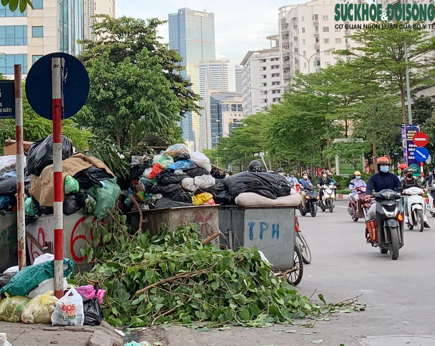 Chính Phủ Triển Khai Các Giải Pháp Mới Nhằm Bảo Vệ Môi Trường và Ứng Phó Biến Đổi Khí Hậu