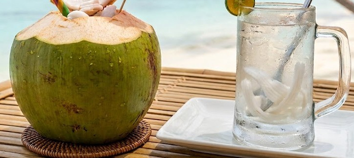 Khám Phá Lợi Ích Và Những Lưu Ý Khi Uống Nước Dừa Trong Thời Gian Bị Sốt Xuất Huyết