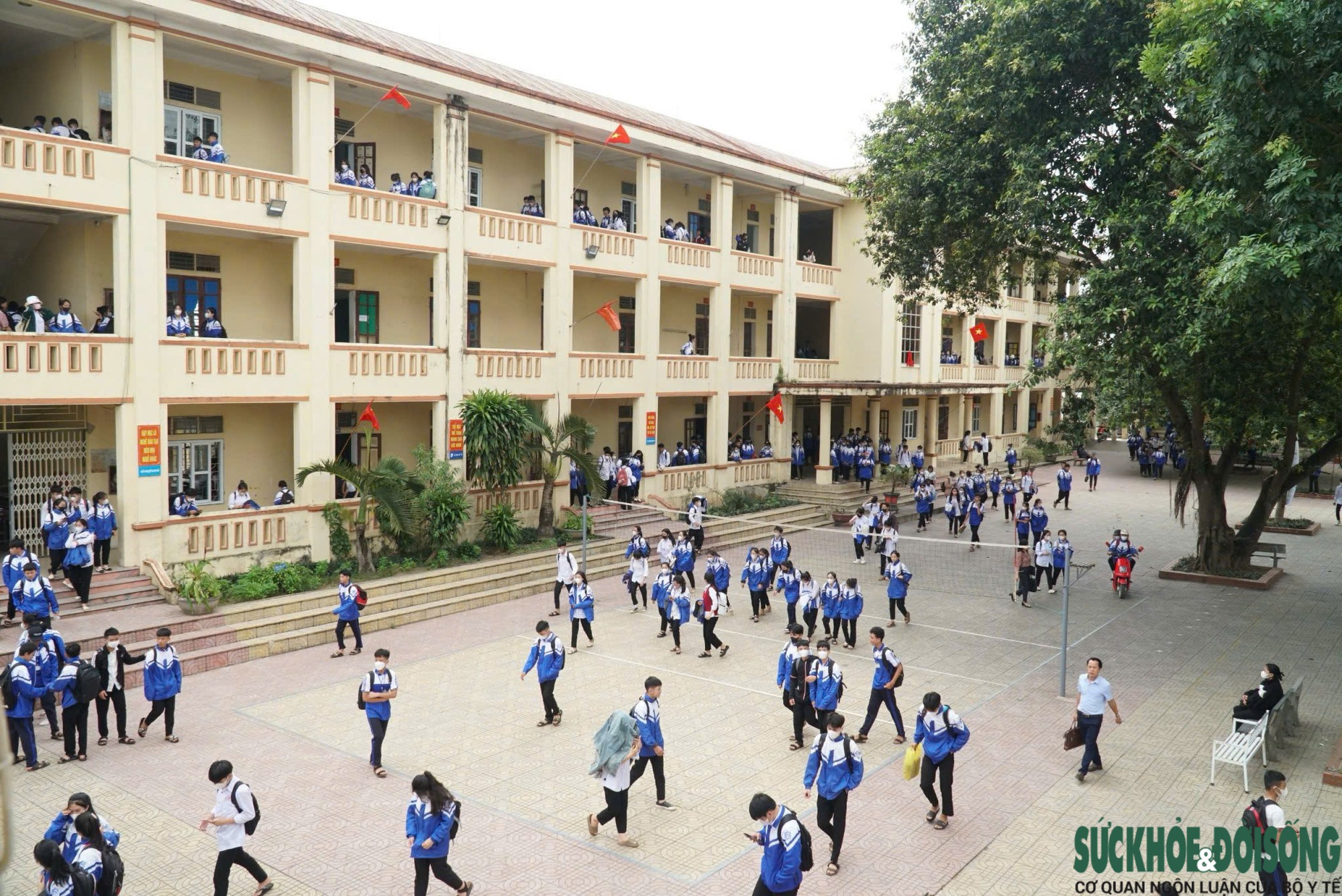 base64-17873609652381993778870 Nghệ An giảm gần một nửa số trường học sau sắp xếp- Ảnh 1.