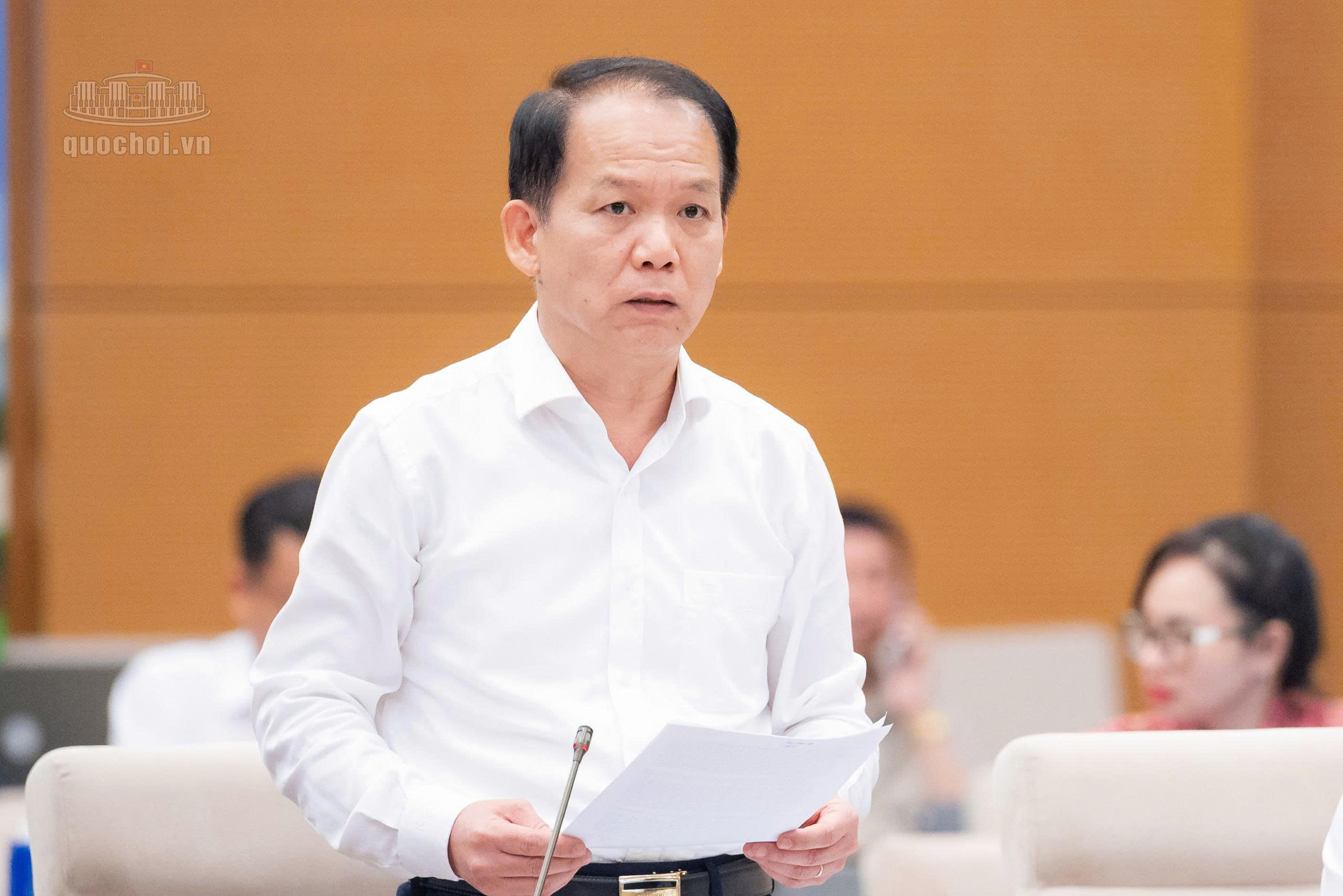 Đề xuất sửa toàn diện Luật Nuôi con nuôi, tăng bảo vệ quyền lợi trẻ em- Ảnh 2.