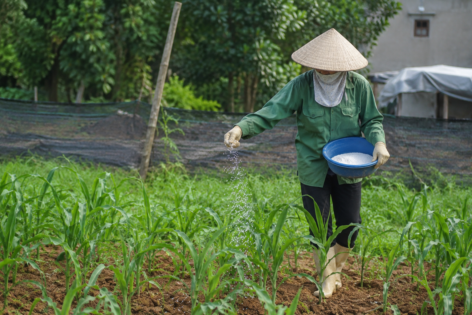 bon-phan-1786332080200303796632 Những Nguyên Tắc Quan Trọng Để Bảo Vệ Bạn Khi Làm Việc Với Hóa Chất - Ảnh 1.