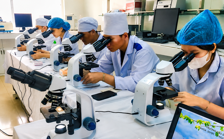 Hiệu trưởng, phó hiệu trưởng giảm chức sau sắp xếp được bảo lưu phụ cấp - Ảnh 2.