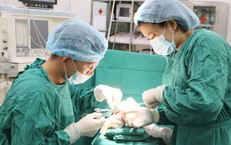 Cảnh Báo Về Nguy Cơ Khi Tự Ý Sử Dụng Corticoid Để Điều Trị Bệnh Da