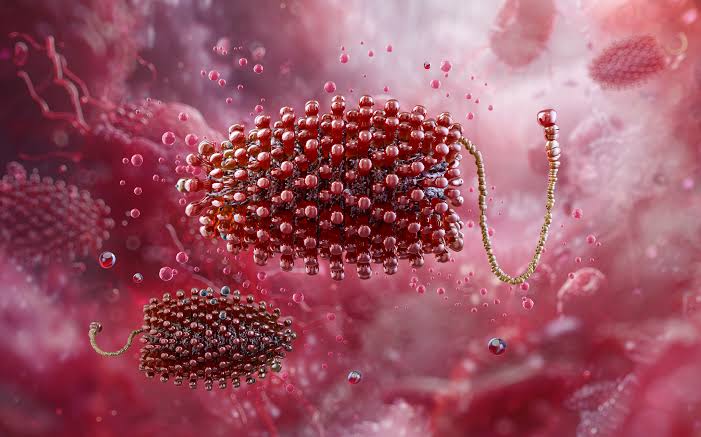 Cảnh Báo Về Virus Chandipura: Tình Hình Khẩn Cấp Ở Ấn Độ